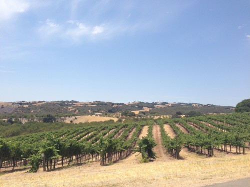 Écluse Winery, Paso Robles